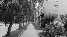 Фото: Андрей Заржецкий