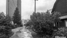 Фото: Андрей Заржецкий