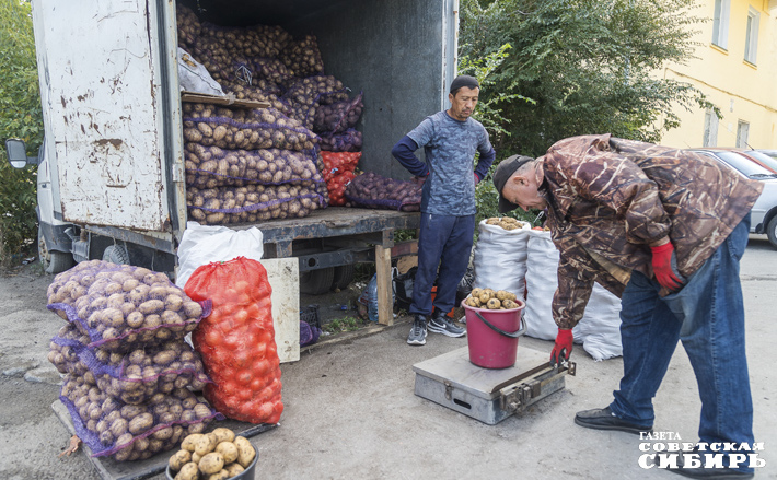 Картошку нынче продают на каждом шагу: с машины буквально у крыльца супермаркета. Фото: Андрей Заржецкий
