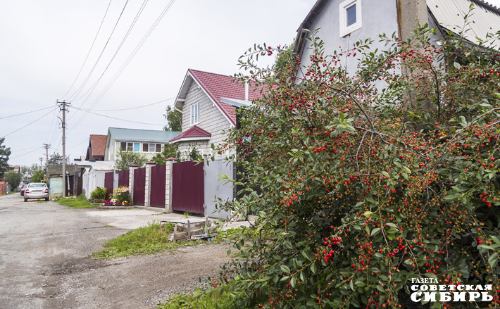 Фото: Андрей Заржецкий