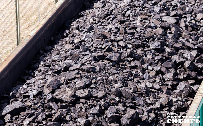 Фото: Андрей Заржецкий