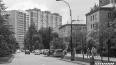 Фото: Андрей Заржецкий