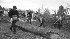 Совсем скоро на поселковом кладбище установят новый памятник участнику Великой Отечественной войны Василию Яковлевичу Лымарю. После войны он много лет прожил в поселке Поповка, по отзывам жителей, был добрым, отзывчивым, общительным человеком. Фото: adm-karasuk.nso.ru