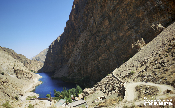 В горах правительством Таджикистана проводится озеленение — высаживают тополя и алычу. «Потому что ухаживать не нужно, самые неприхотливые деревья», — объясняет гид. Фото: Светлана Фролова