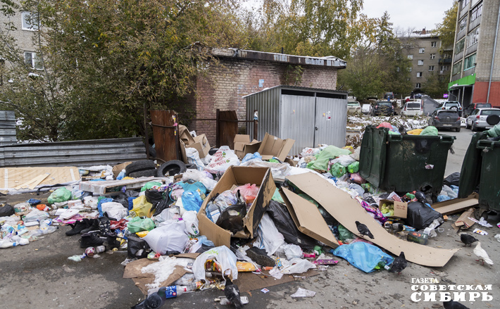 С инфраструктурой по сбору ТБО в областном центре беда. Сейчас в регионе 14 911 контейнерных площадок, надо еще 2021. Фото: Андрей Заржецкий
