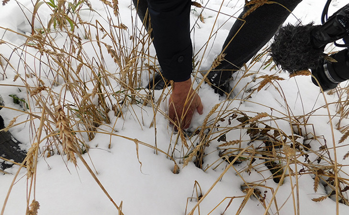 Фото Анны Зубаревой