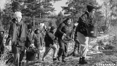 Елочки в Искитимском районе высадили в рамках акции «Сохраним лес» нацпроекта «Экологическое благополучие». Всего за семь лет в ходе акции было посажено свыше 800 тысяч деревьев. Фото: Андрей Заржецкий 