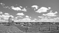 099-16.jpg