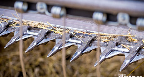 В нынешнем году аграриям приходится убирать хлеб и в густом тумане, и ночью, и по снегу. Тем не менее три миллиона тонн зерна уже в закромах, хотя уборочная кампания еще не завершена. Фото: Андрей Заржецкий