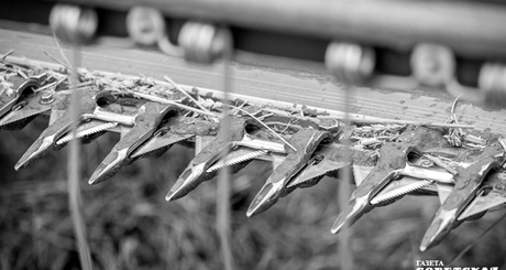 В нынешнем году аграриям приходится убирать хлеб и в густом тумане, и ночью, и по снегу. Тем не менее три миллиона тонн зерна уже в закромах, хотя уборочная кампания еще не завершена. Фото: Андрей Заржецкий