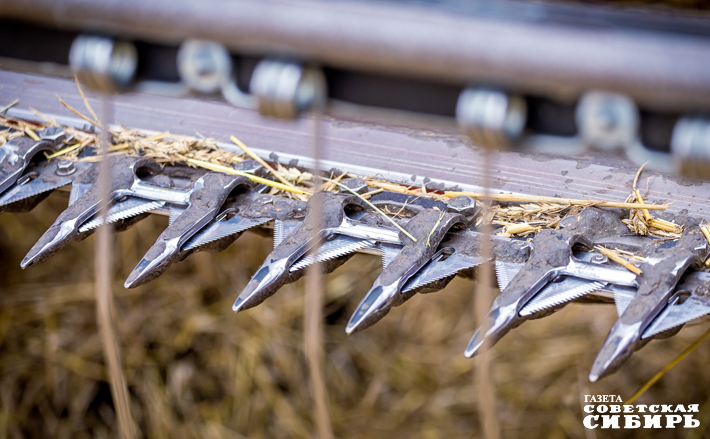 В нынешнем году аграриям приходится убирать хлеб и в густом тумане, и ночью, и по снегу. Тем не менее три миллиона тонн зерна уже в закромах, хотя уборочная кампания еще не завершена. Фото: Андрей Заржецкий