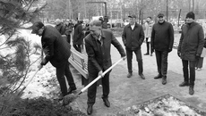 Крупномеры высаживать непросто, но региональные парламентарии справились. Хочется верить, что пушистые зеленые красавцы приживутся на новом месте. Фото: zsnso.ru