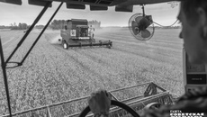 Фото: Андрей Заржецкий