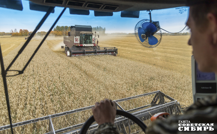 Фото: Андрей Заржецкий