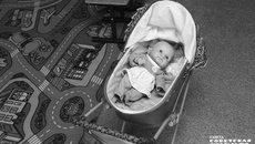 Фото: архив ИД «Советская Сибирь»