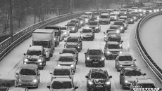 Фото: Андрей Заржецкий