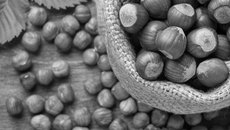 Фото с сайта ru.freepik.com