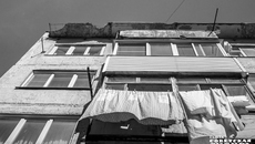 Фото: архив ИД «Советская Сибирь»