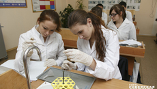 Фото: архив ИД «Советская Сибирь»