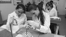 Фото: архив ИД «Советская Сибирь»