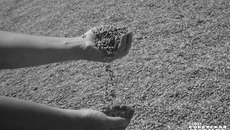 Фото: архив ИД «Советская Сибирь»