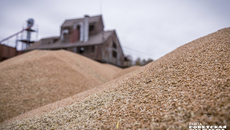 Фото: Андрей Заржецкий