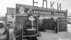 Каждый год в Новосибирской области проходит более двух тысяч ярмарок разных форматов. В 2025 году только министерство торговли региона и муниципалитеты организовали 225 из них. Елочные базары уже приглашают горожан за новогодними деревьями. Фото: nso.ru