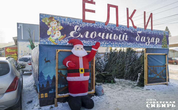 Каждый год в Новосибирской области проходит более двух тысяч ярмарок разных форматов. В 2025 году только министерство торговли региона и муниципалитеты организовали 225 из них. Елочные базары уже приглашают горожан за новогодними деревьями. Фото: nso.ru