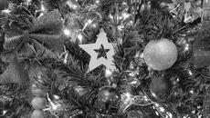 Все же звезды на наших рождественских елях больше не о Вифлеемских событиях, а о нашей доб­лестной, несущей справедливость и защиту людям армии. Хотя и то и другое для миллио­нов соотечественников понятия священные. Фото: Юлия Назаренко