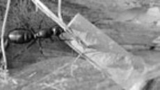 102-40.jpg