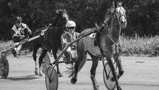 Все гонки, в которых Михаил Попов участвовал вместе с Чадом, были зрелищными. У соперников в большинстве случаев не было шансов встать на верхнюю ступень пьедестала почета. Фото предоставлено Новосибирским ипподромом