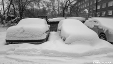 Фото: Андрей Заржецкий