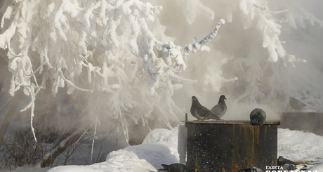 Фото: Андрей Заржецкий