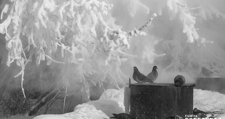 Фото: Андрей Заржецкий