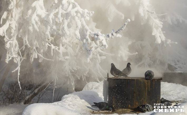 Фото: Андрей Заржецкий