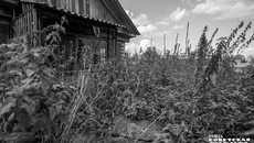 Фото: Андрей Заржецкий