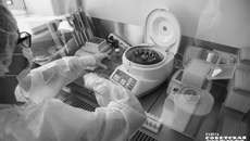 Фото: архив ИД «Советская Сибирь»