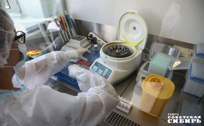 Фото: архив ИД «Советская Сибирь»