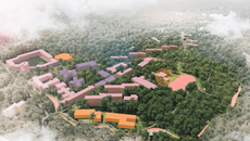 Фото: пресс-служба НГУ