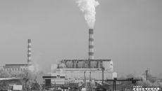 Фото: архив ИД «Советская Сибирь»