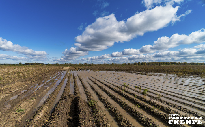 Фото: Андрей Заржецкий