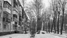 Фото: Андрей Заржецкий