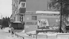 Фото: Андрей Заржецкий