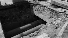 Фото: архив ИД «Советская Сибирь»