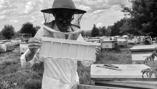 Пчелы очень чистоплотные, не любят резких звуков и неприятных запахов. И Сергей Якубович знает, как с ними обращаться. Фото: Марина Якубович