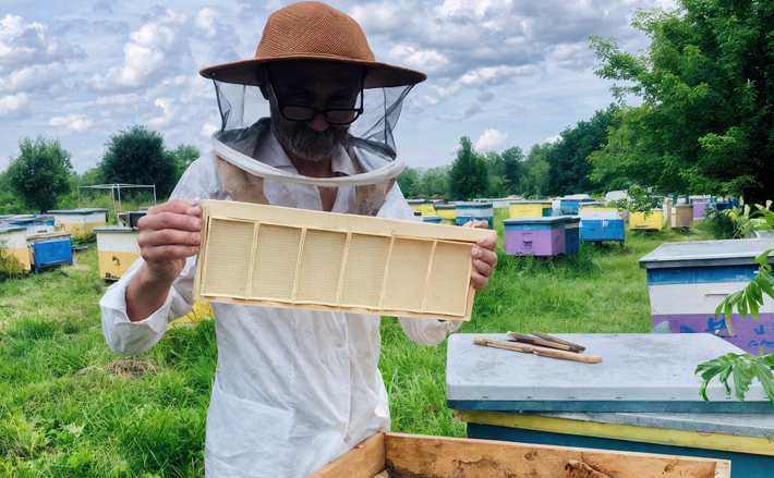 Пчелы очень чистоплотные, не любят резких звуков и неприятных запахов. И Сергей Якубович знает, как с ними обращаться. Фото: Марина Якубович