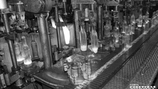 Фото: архив ИД «Советская Сибирь»