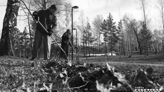 Трудовые отряды школьников и студентов присоединились к всероссийскому субботнику.  Фото: Алина Кухмарь