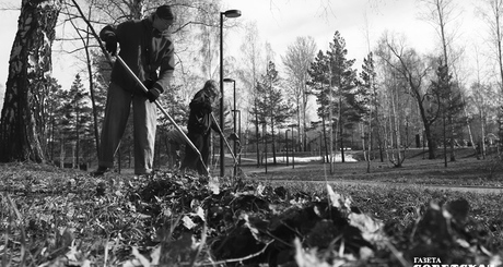 Трудовые отряды школьников и студентов присоединились к всероссийскому субботнику.  Фото: Алина Кухмарь