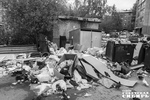 Горы мусора во дворе многоквартирного дома&nbsp;— иногда проблема взаимодействия и договоренностей управляющей компании с региональным оператором. А вы знаете, сколько раз за сезон дворник должен поливать газоны? Или как часто техничка должна генералить лестничную клетку? А сколько вы платите за каждую из описанных услуг? А выполняется ли все то, что прописано в документах? А все ли жильцы исправно платят за услуги УК? Диалог между сторонами не всегда удается настроить. А придется. Фото: Андрей Заржецкий